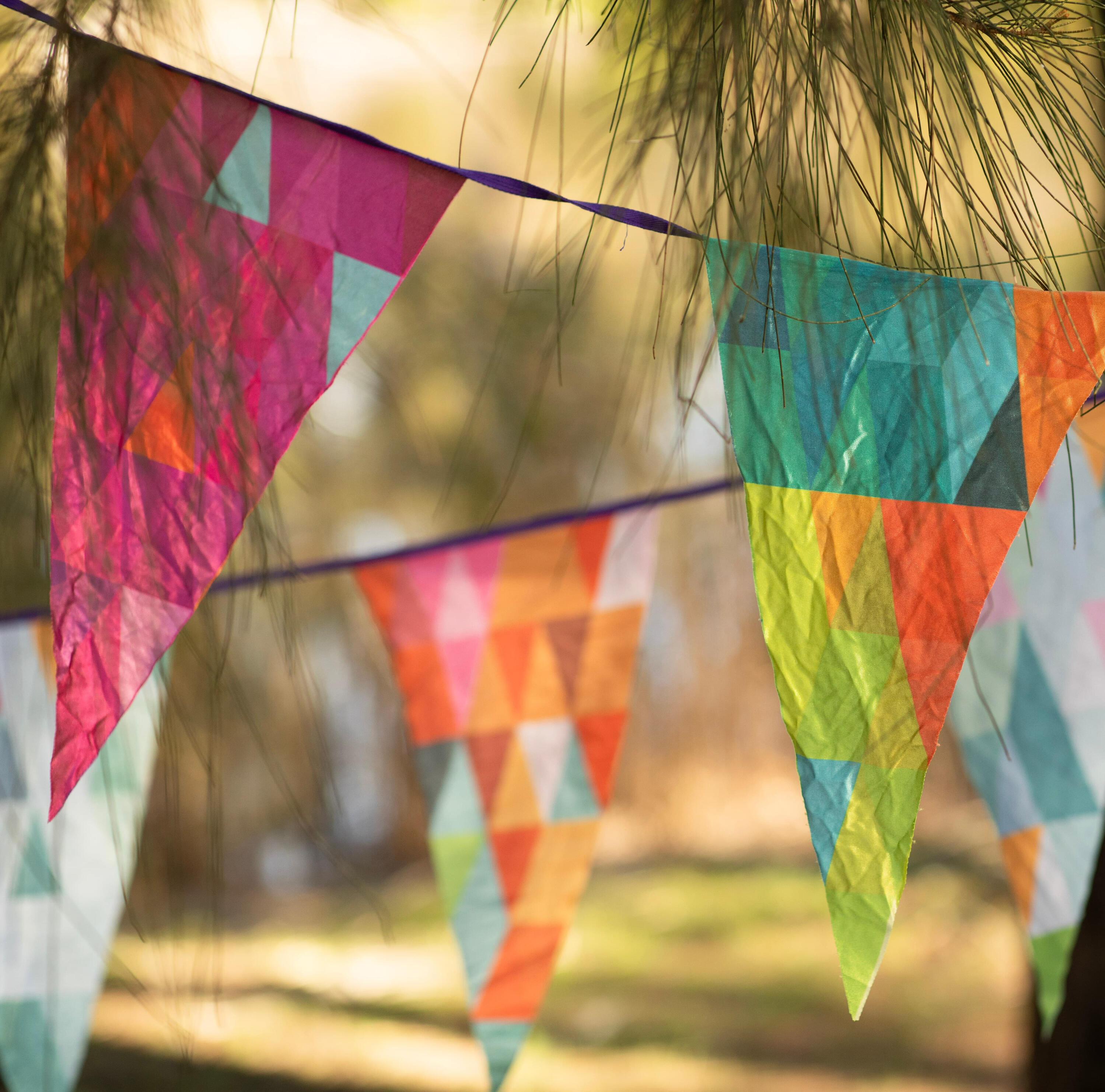 Prism Pop Bunting Prism Pop triangle bunting at outdoor picnic