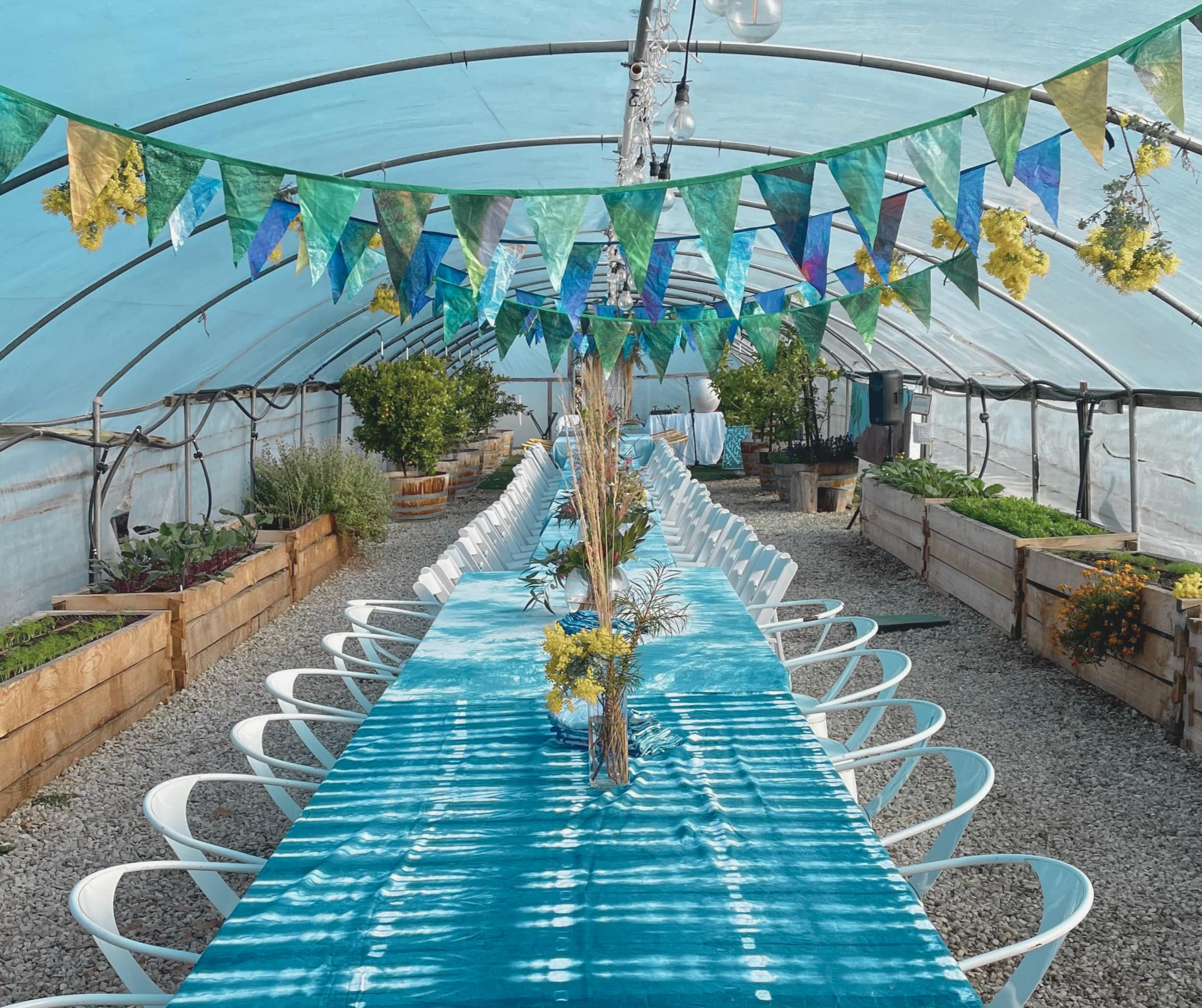 Wild Fringe Bunting Wild Fringe Bunting decorating a long table lunch in a poly-tunnel